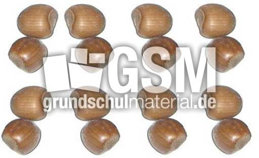Haselnüsse-8x2.jpg